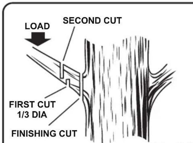 LawnMaster CS1216 - WARNING - 1