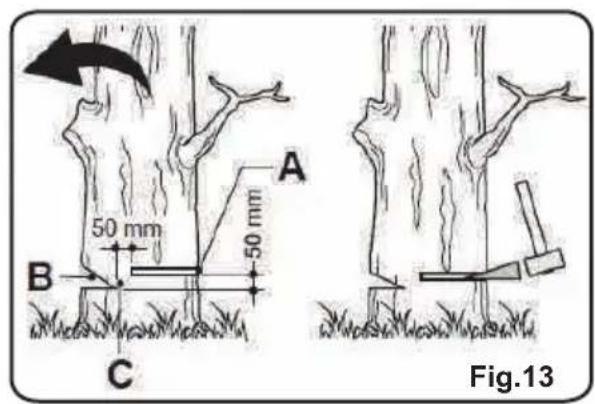 LawnMaster CS1216 - PROPER PROCEDURE FOR TREE FELLING (See Fig. 13) - 2