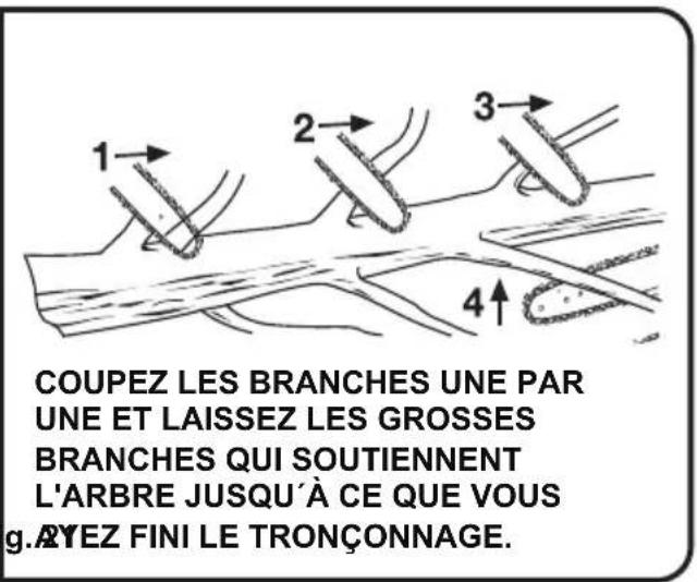 LawnMaster CS1216 - AVERTISSEMENT - 2