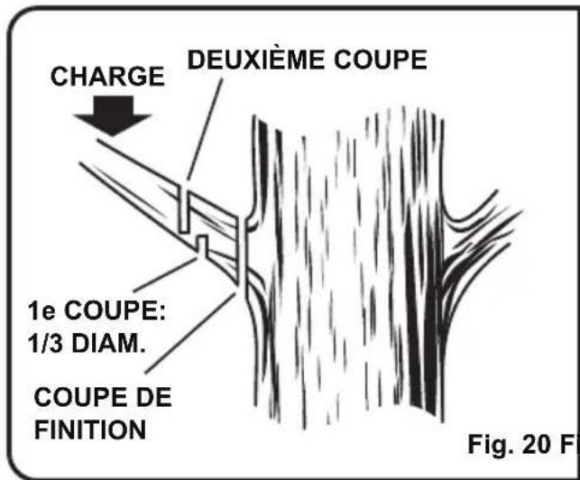 LawnMaster CS1216 - AVERTISSEMENT - 1
