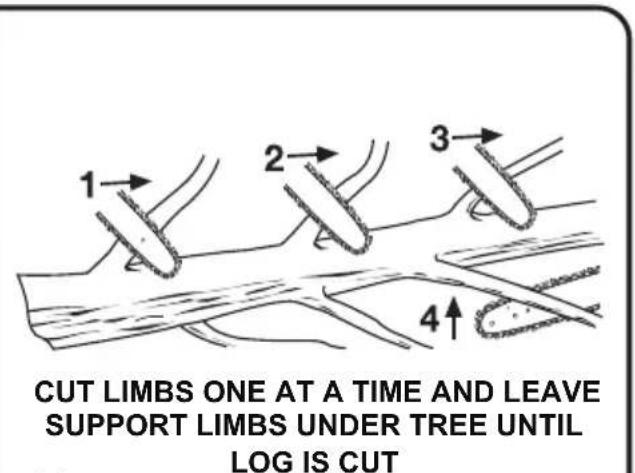 LawnMaster CS1216 - WARNING - 2