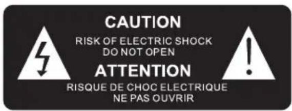 THOMSON MIC202IBT - CAUTION - 2