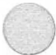 Oreck Orbitor RORB400 - Bonnets - 1