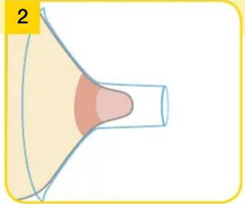 MEDELA Swing Maxi Flex - Swing Maxi Flex - Preparing for single pumping - 4