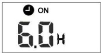 FERROLI Diamant Plus S - "TIMER ON" (praca z automatycznym zapłonem) - 1
