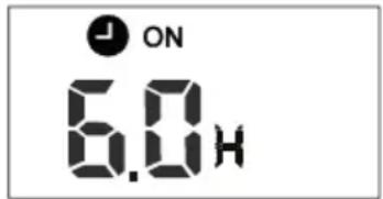 FERROLI Diamant Plus S - FUNZIONE TIMER - 1