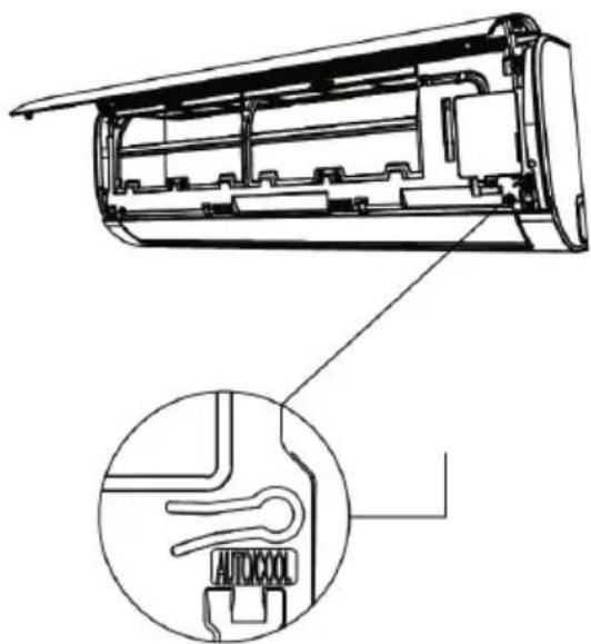 FERROLI Diamant Plus S - INTERNAL UNIT EMERGENCY BUTTON - 1
