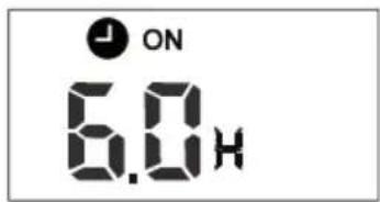 FERROLI Diamant Plus S - "TIMER ON" (fonctionnement avec allumage automatique) - 1
