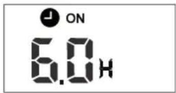 FERROLI Diamant Plus S - "TIMER ON" (otomatik ateşlemeli çalışma) - 1