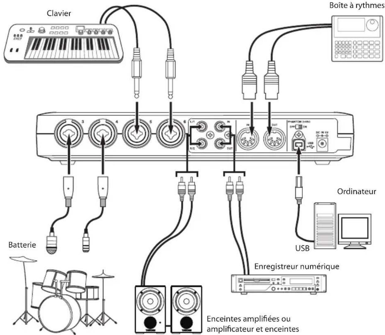 TASCAM US800 - - Branchements - 2