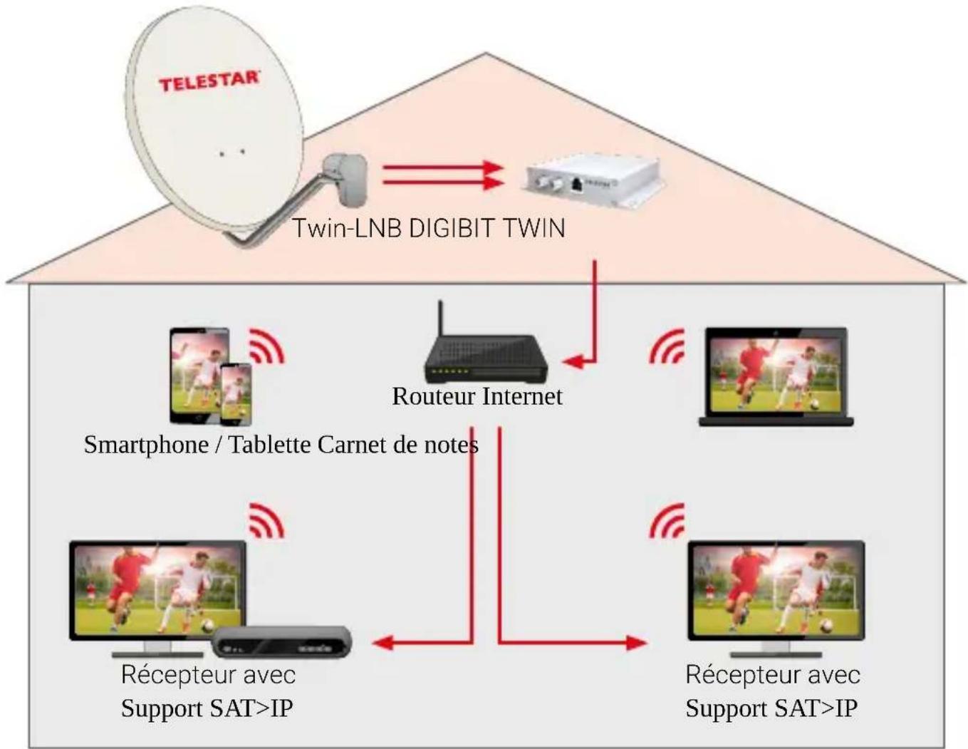 Telestar DIGIBIT Twin - Introduction - 1