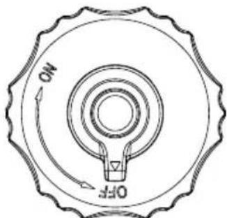 Craftsman CMXGIAC2200 - Combustible - 1