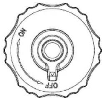 Craftsman CMXGIAC2200 - Carburant - 1