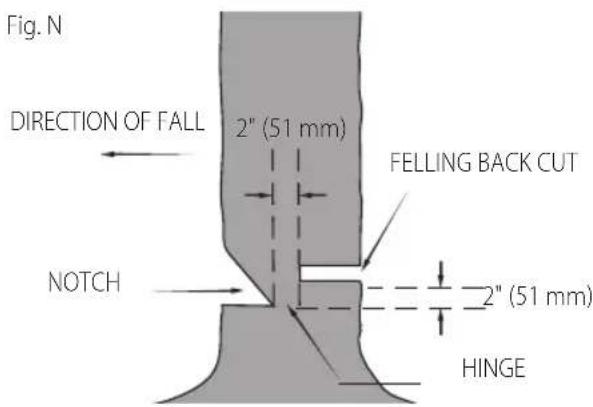 Craftsman CMCCS660E1 - Common Cutting Techniques (Fig. A, M-S) Felling - 2