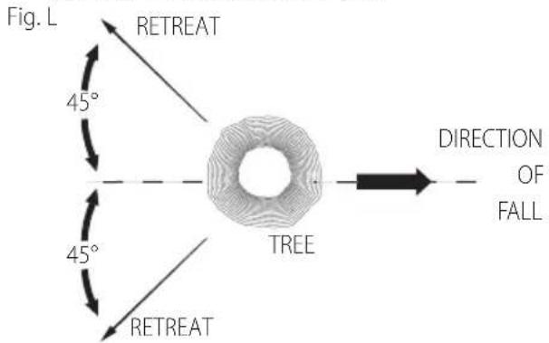 Craftsman CMCCSP20 - Common Cutting Techniques (Fig. A, L–S) Felling - 1