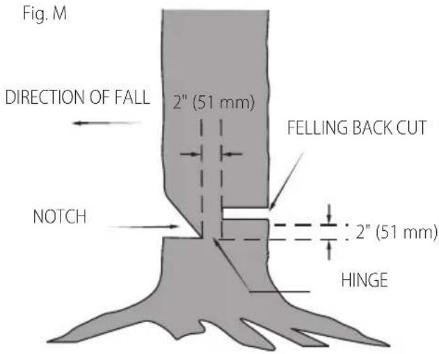 Craftsman CMCCSP20 - Common Cutting Techniques (Fig. A, L–S) Felling - 2