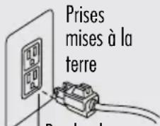 Sanitaire RESTORE SC6100A - INSTRUCTIONS DE MISE À LA TERRE - 1