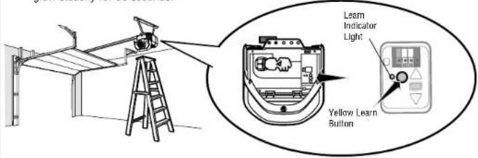 CHAMBERLAIN 45ACT - Program a remote using the learn button - 1
