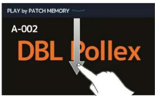 ZOOM G11 - Affichage du nom de mémoire du patch durant le jeu - 3