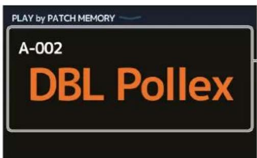 ZOOM G11 - Affichage du nom de mémoire du patch durant le jeu - 1