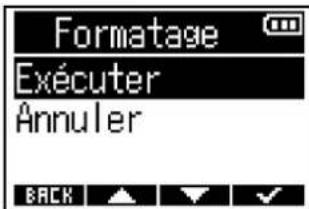 ZOOM F3 - Formatage des cartes microSD - 4