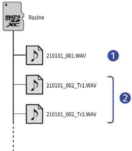 ZOOM F3 - Structure des dossiers et fichiers du F3 - 1