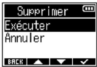 ZOOM F3 - Suppression de fichiers d'enregistrement - 1