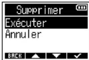 ZOOM F3 - Suppression de fichiers - 4