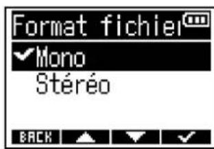 ZOOM F3 - Sélection du format de fichier d'enregistrement (Mono/Stériso) - 4