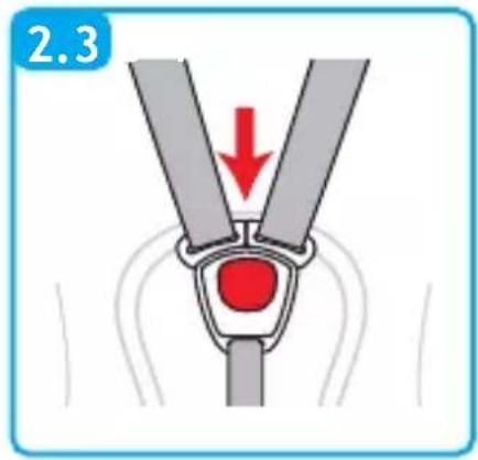 Foppapedretti SuperTres - REFERENCE - 4