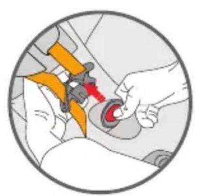 Foppapedretti iWood - Como remover o arnês - 1