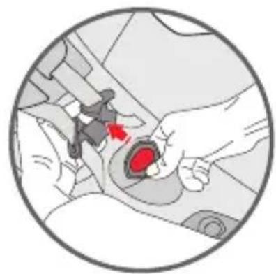 Foppapedretti iWood - Securing the child with the harness - 2