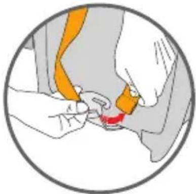 Foppapedretti iWood - How to remove the harness - 2