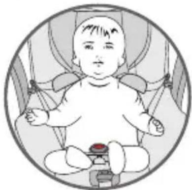 Foppapedretti iWood - Assurer l'enfant avec le harnais - 2