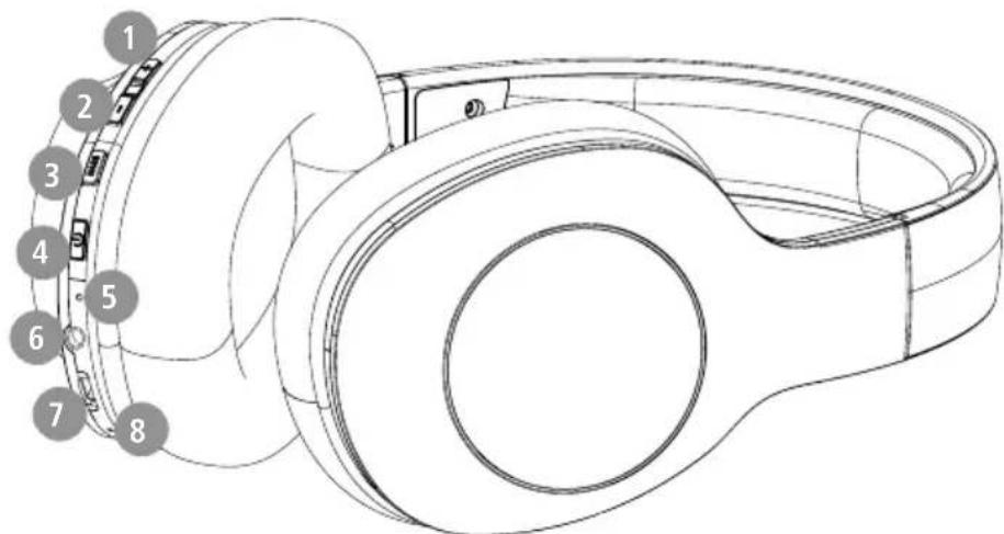 HAMA Spirit Calypso - Elementi di lavoro e indicatori - 1