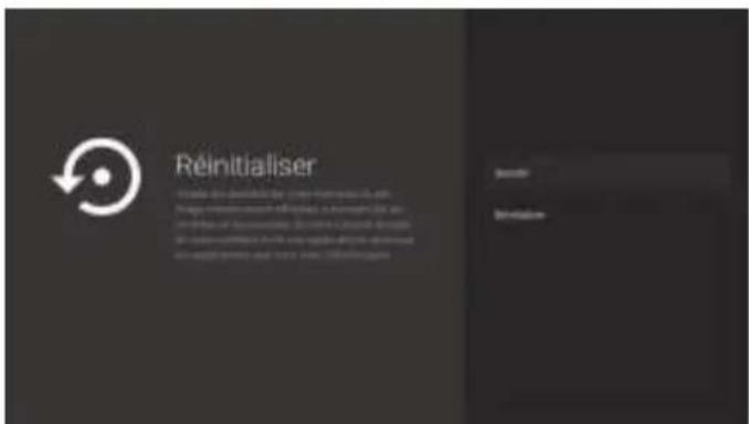 Sogo TVSS4901 - Réinitialiser - 1