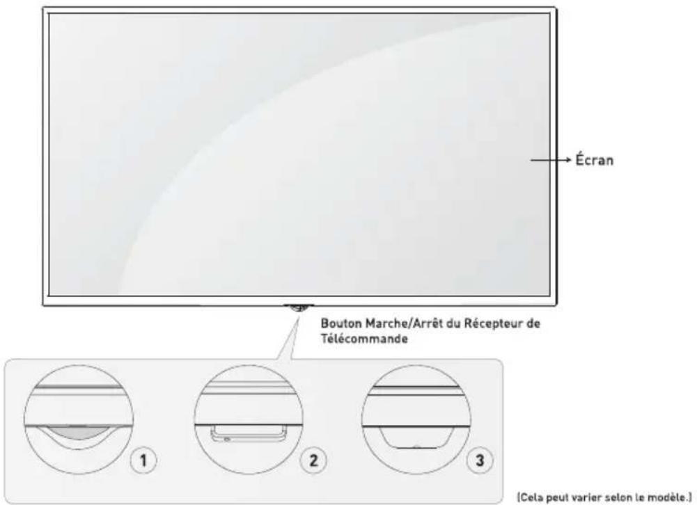 Sogo TVSS4901 - Informations sur l'Utilisation Efficace en Termes de Consommation d'Energie - 2