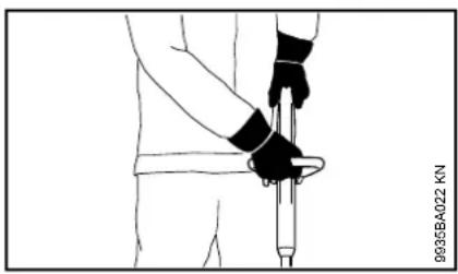 STIHL FSE 52 - Holding and Controlling the Power Tool - 2