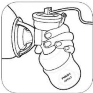 PHILIPS Avent SCF391 - Pumping instructions - 2