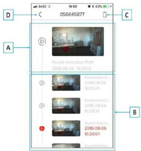 CHACON IPCAMFE03 - Интерфейс камеры - 2
