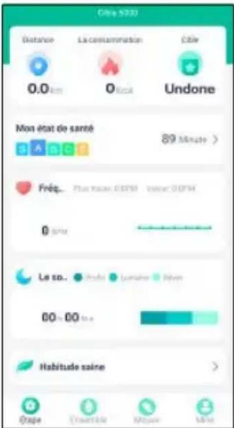 HAMA Fit Track 1900 - 6.4.5Habitudessaines - 1
