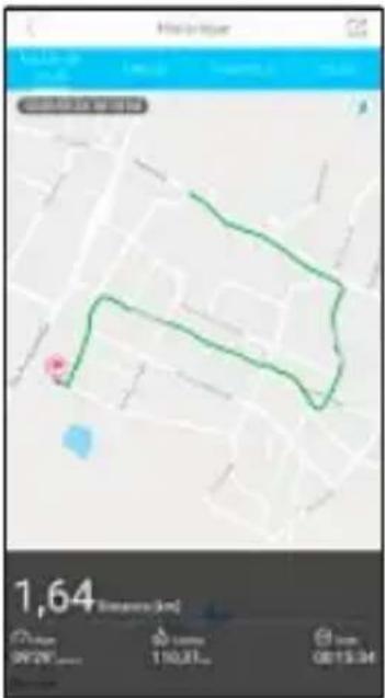 HAMA Fit Track 5900 - Modesport - 3