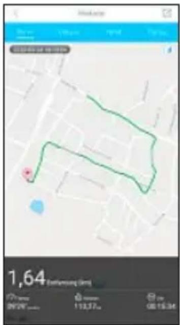 HAMA Fit Track 5900 - 6.2.4Modulsport - 3