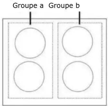 HOOVER HTPS64MCTTWIFI - Restrictions lors de l'utilisation - 1