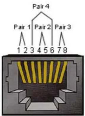 VIEWSONIC ViewBoard IFP7562 - Spécification du matériel LAN - 1