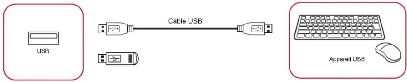 VIEWSONIC ViewBoard IFP7562 - Périphériques USB - 1