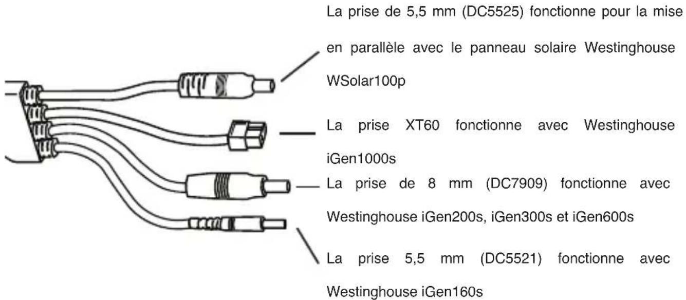 WESTINGHOUSE WSolar60p - Instructions d'utilisation - 3