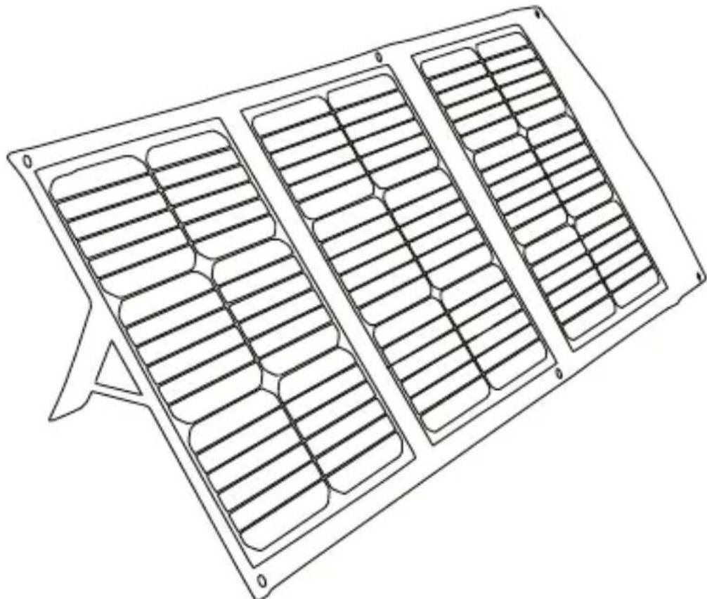 WESTINGHOUSE WSolar60p - MANUEL DE L'UTILISATEUR - 1