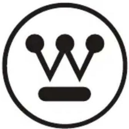 WESTINGHOUSE WSolar100p - Parallèle - 2