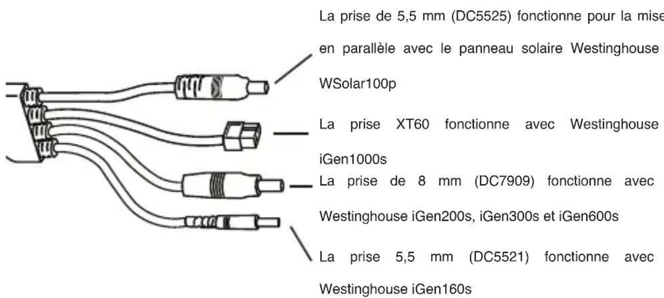 WESTINGHOUSE WSolar100p - Instructions d'utilisation - 3